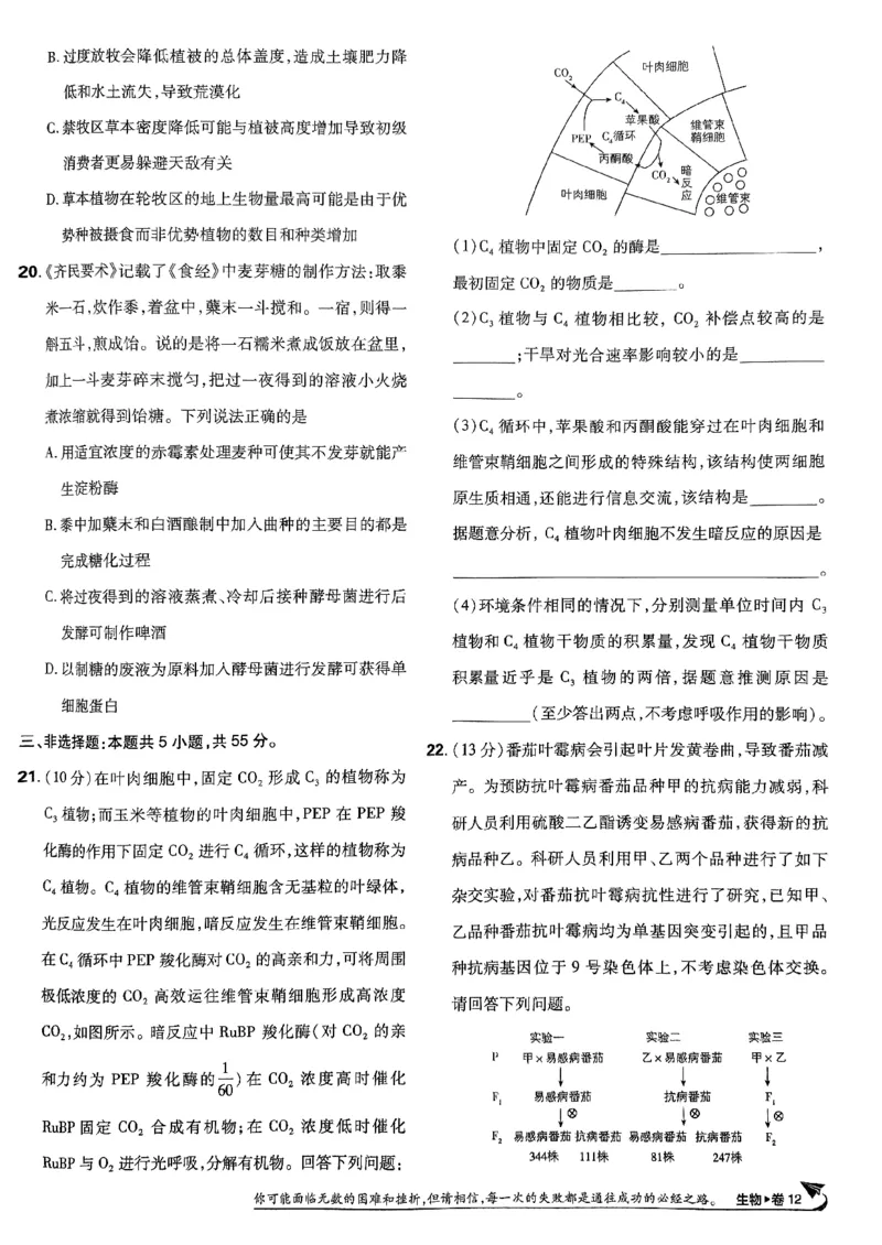 2025高考必刷卷42套生物新高考版_《2025高考必刷卷》_生物