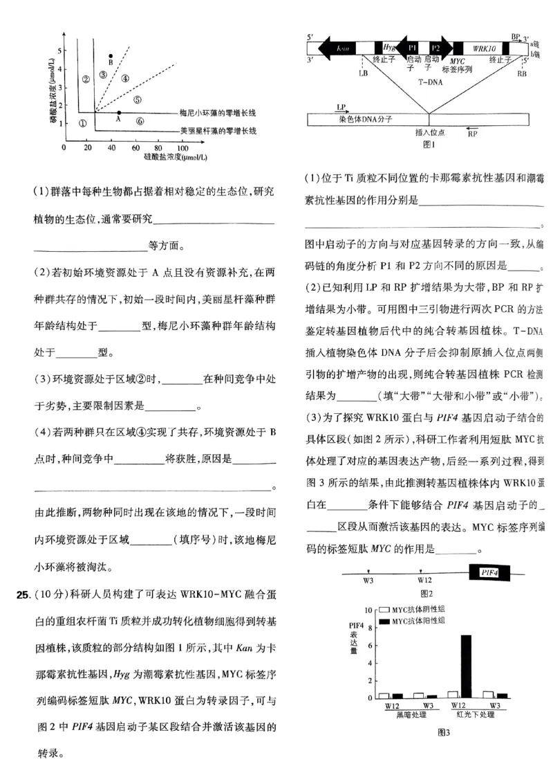 2025高考必刷卷42套生物新高考版_《2025高考必刷卷》_生物