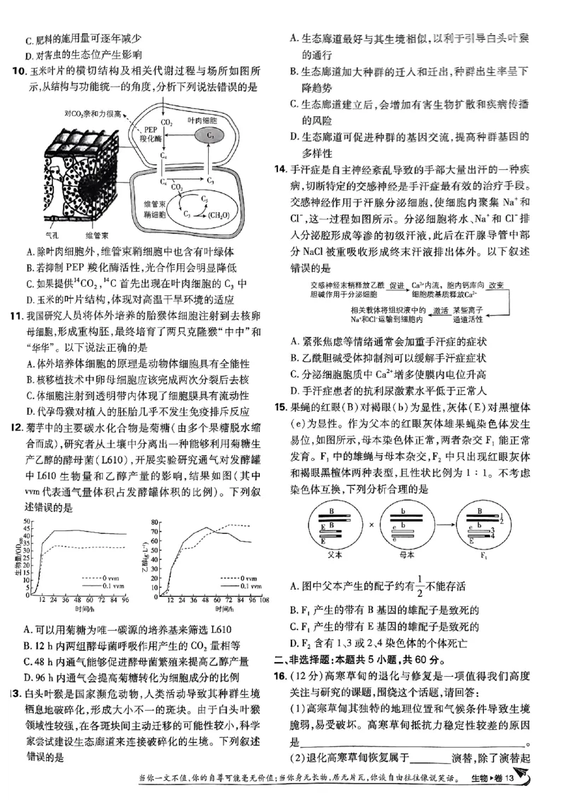 2025高考必刷卷42套生物新高考版_《2025高考必刷卷》_生物