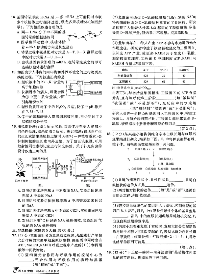 2025高考必刷卷42套生物新高考版_《2025高考必刷卷》_生物