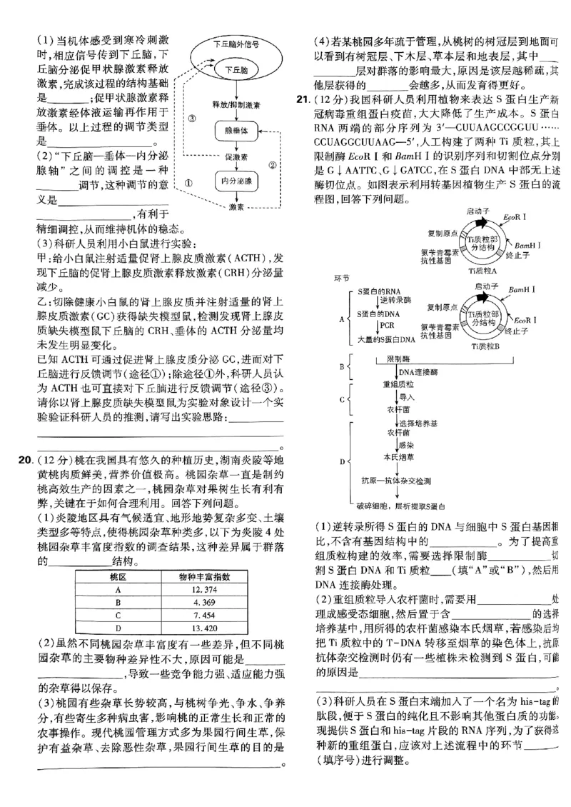 2025高考必刷卷42套生物新高考版_《2025高考必刷卷》_生物