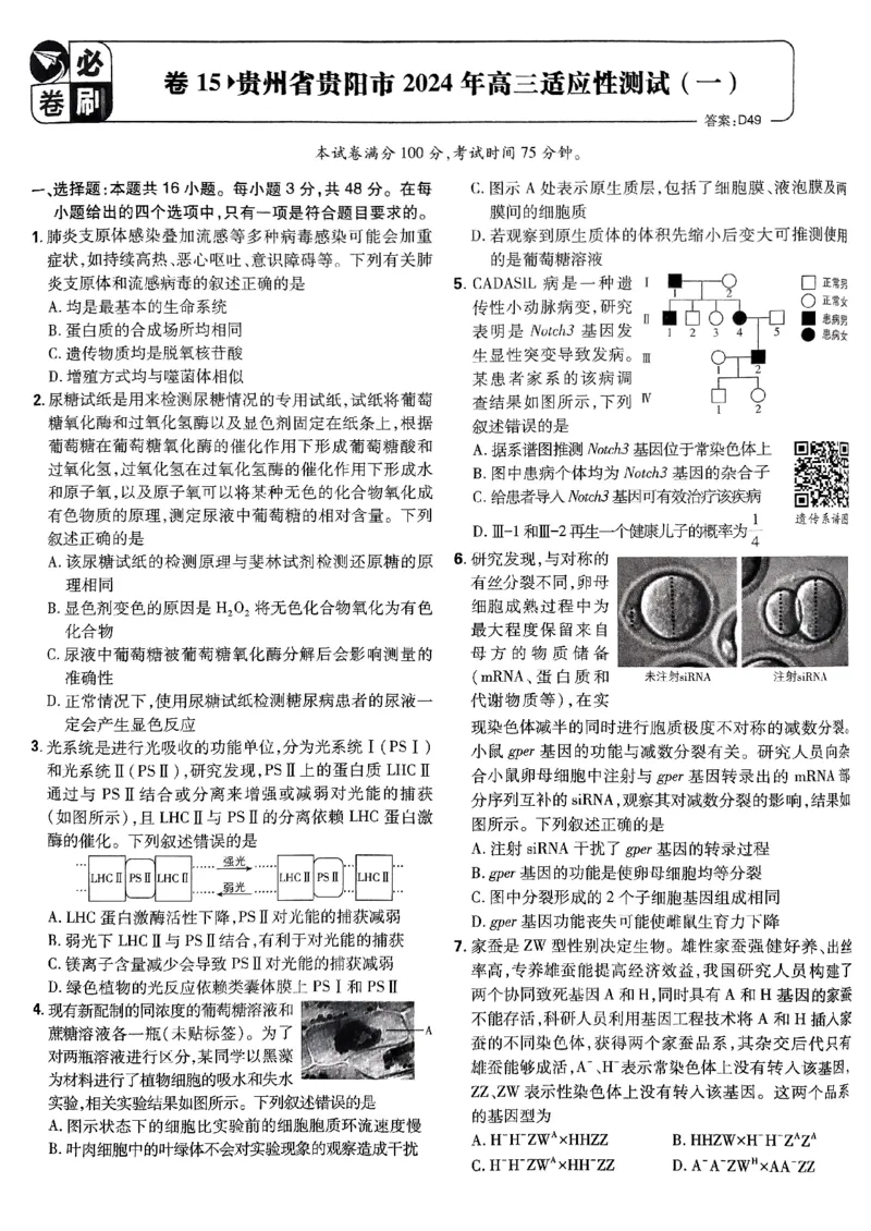 2025高考必刷卷42套生物新高考版_《2025高考必刷卷》_生物