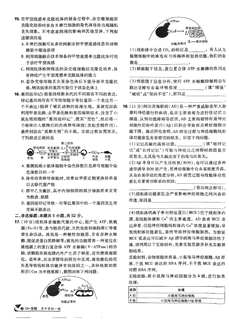 2025高考必刷卷42套生物新高考版_《2025高考必刷卷》_生物