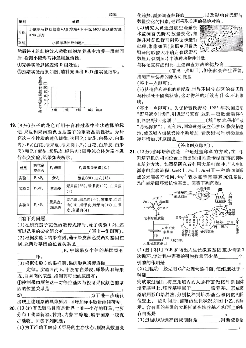 2025高考必刷卷42套生物新高考版_《2025高考必刷卷》_生物