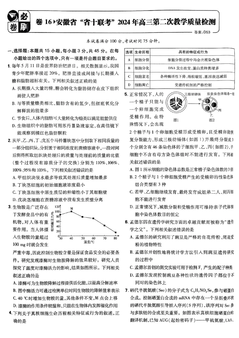 2025高考必刷卷42套生物新高考版_《2025高考必刷卷》_生物