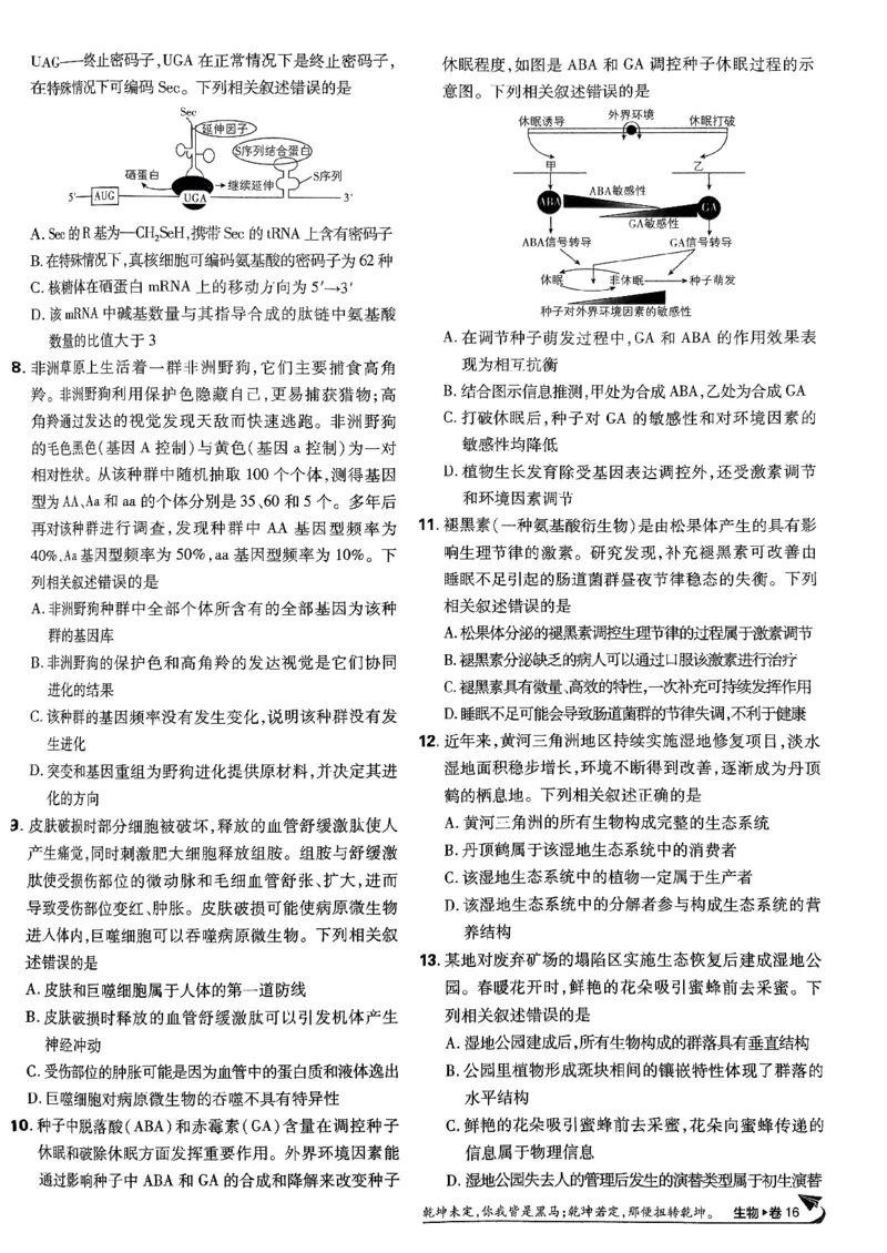 2025高考必刷卷42套生物新高考版_《2025高考必刷卷》_生物