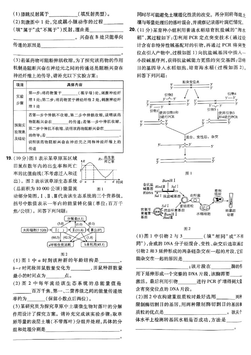 2025高考必刷卷42套生物新高考版_《2025高考必刷卷》_生物