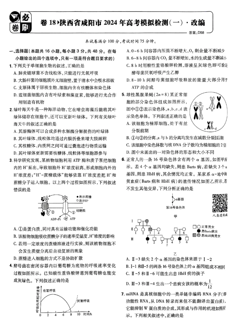 2025高考必刷卷42套生物新高考版_《2025高考必刷卷》_生物