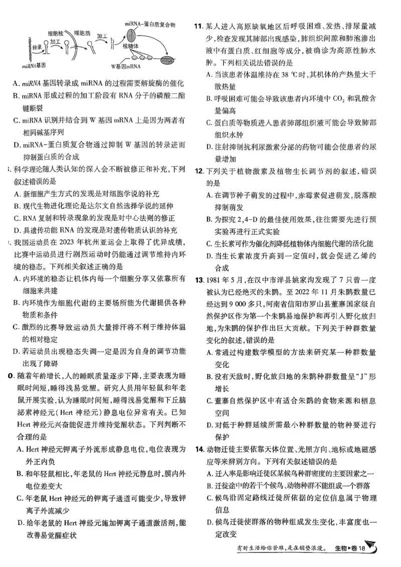 2025高考必刷卷42套生物新高考版_《2025高考必刷卷》_生物