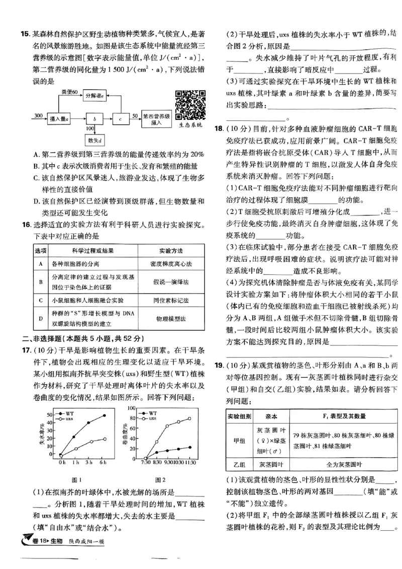 2025高考必刷卷42套生物新高考版_《2025高考必刷卷》_生物