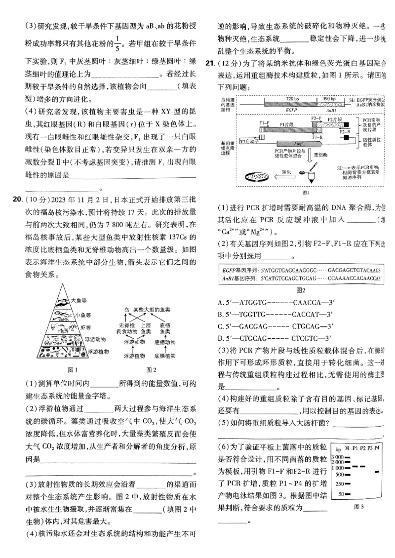 2025高考必刷卷42套生物新高考版_《2025高考必刷卷》_生物