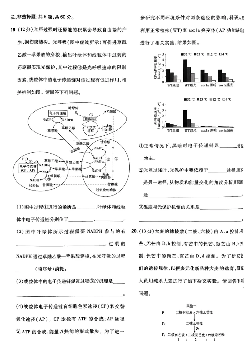 2025高考必刷卷42套生物新高考版_《2025高考必刷卷》_生物
