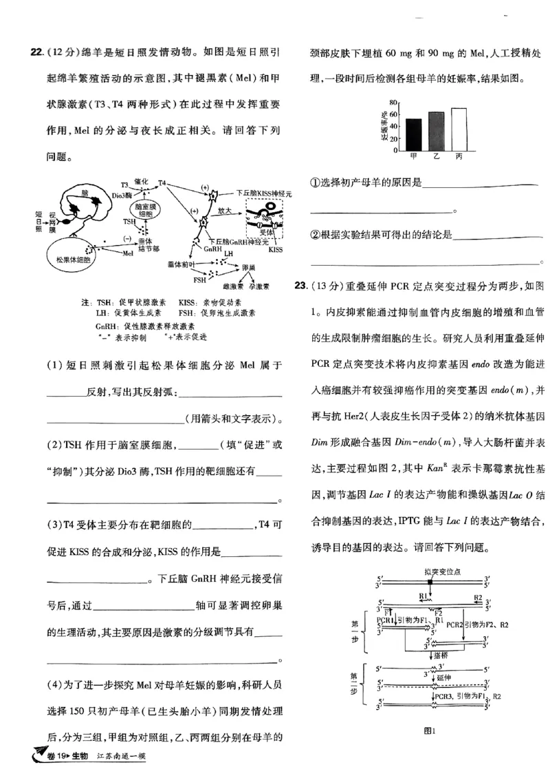 2025高考必刷卷42套生物新高考版_《2025高考必刷卷》_生物