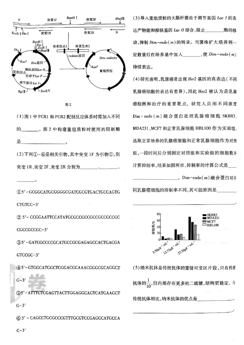 2025高考必刷卷42套生物新高考版_《2025高考必刷卷》_生物