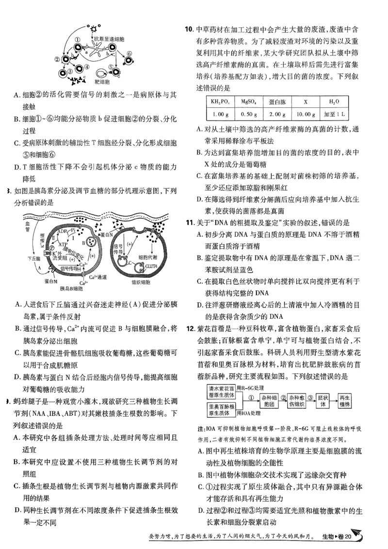 2025高考必刷卷42套生物新高考版_《2025高考必刷卷》_生物