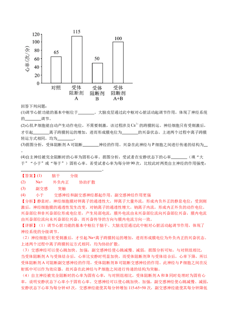 五年（2021-2025）全国高考生物真题分类汇编专题14神经调节（全国通用）（解析版）_高考真题分类汇编_高考生物真题分类汇编（全国通用）五年（2021-2025）