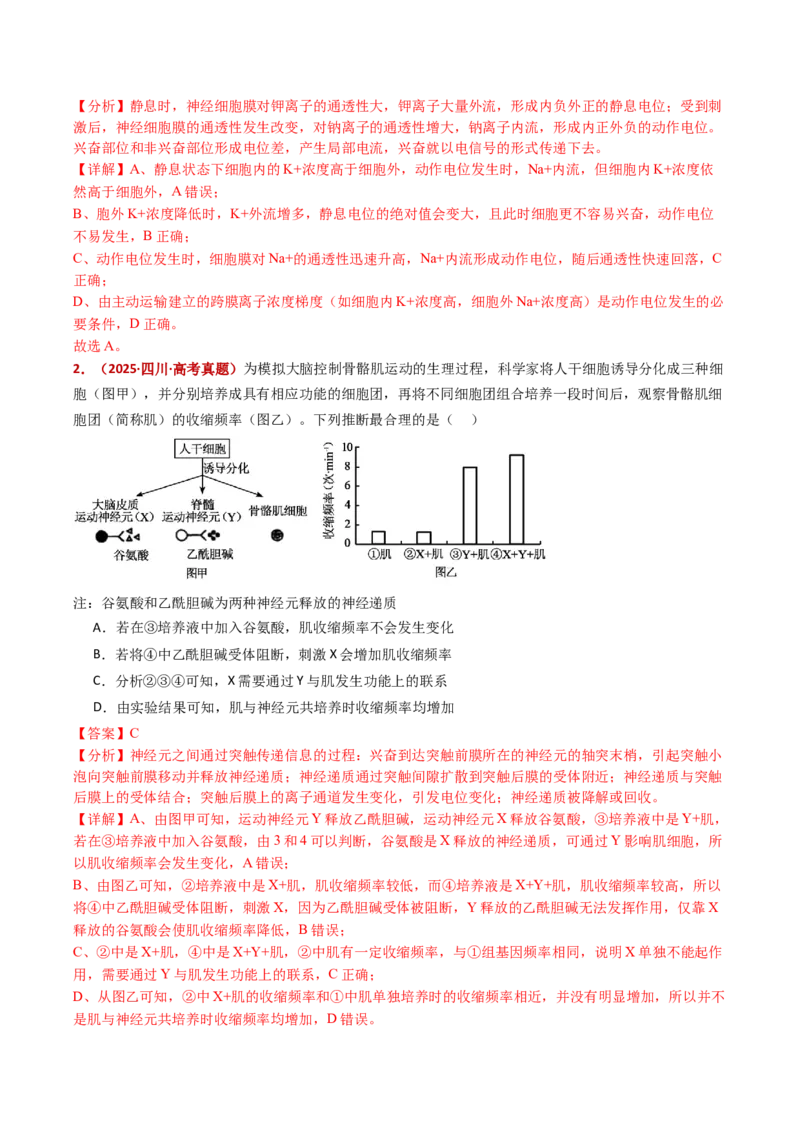 五年（2021-2025）全国高考生物真题分类汇编专题14神经调节（全国通用）（解析版）_高考真题分类汇编_高考生物真题分类汇编（全国通用）五年（2021-2025）