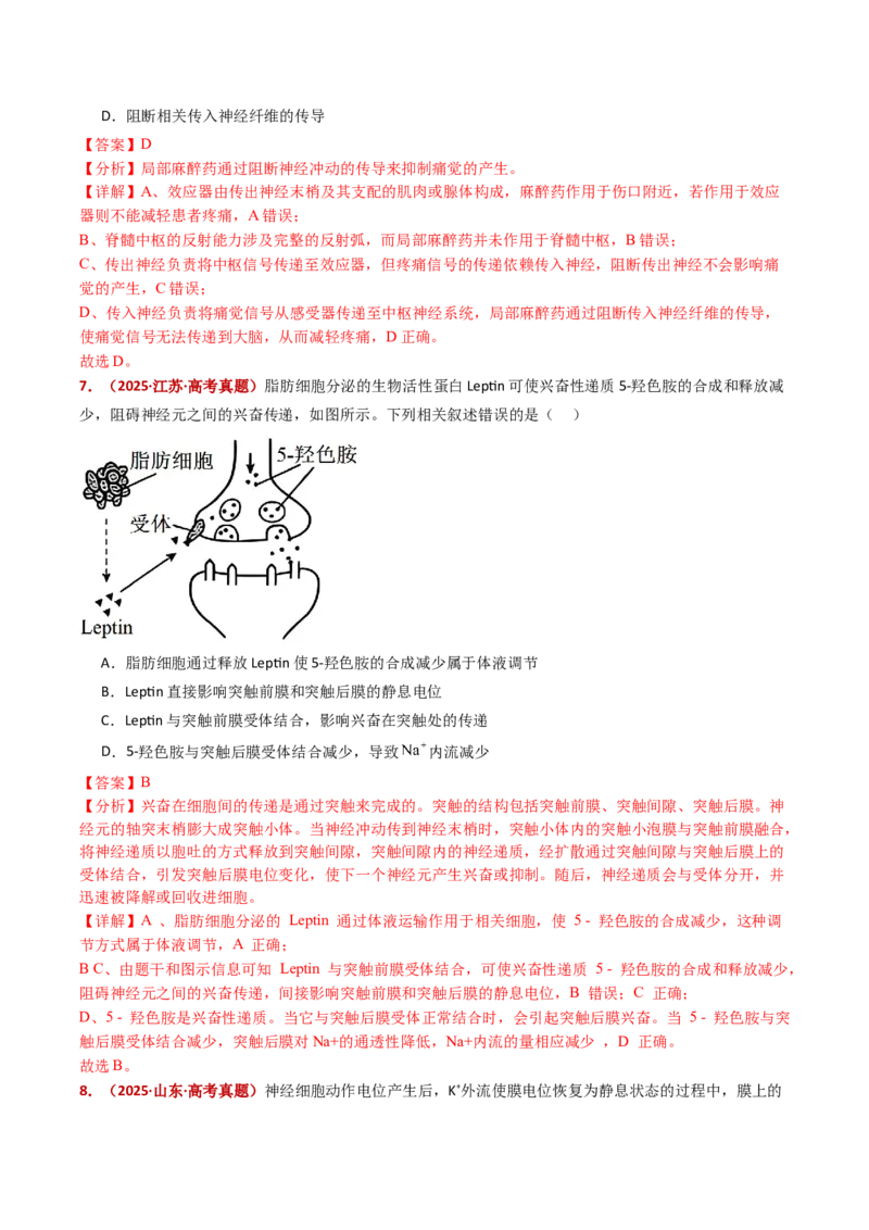 五年（2021-2025）全国高考生物真题分类汇编专题14神经调节（全国通用）（解析版）_高考真题分类汇编_高考生物真题分类汇编（全国通用）五年（2021-2025）