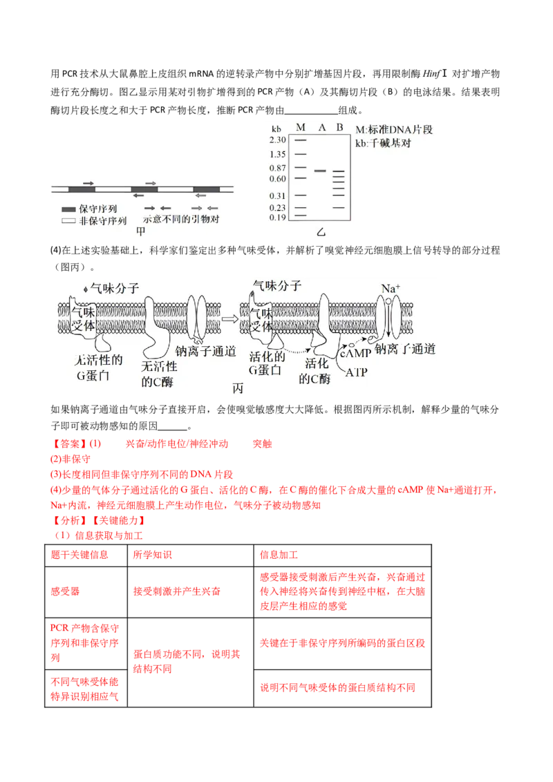 五年（2021-2025）全国高考生物真题分类汇编专题14神经调节（全国通用）（解析版）_高考真题分类汇编_高考生物真题分类汇编（全国通用）五年（2021-2025）