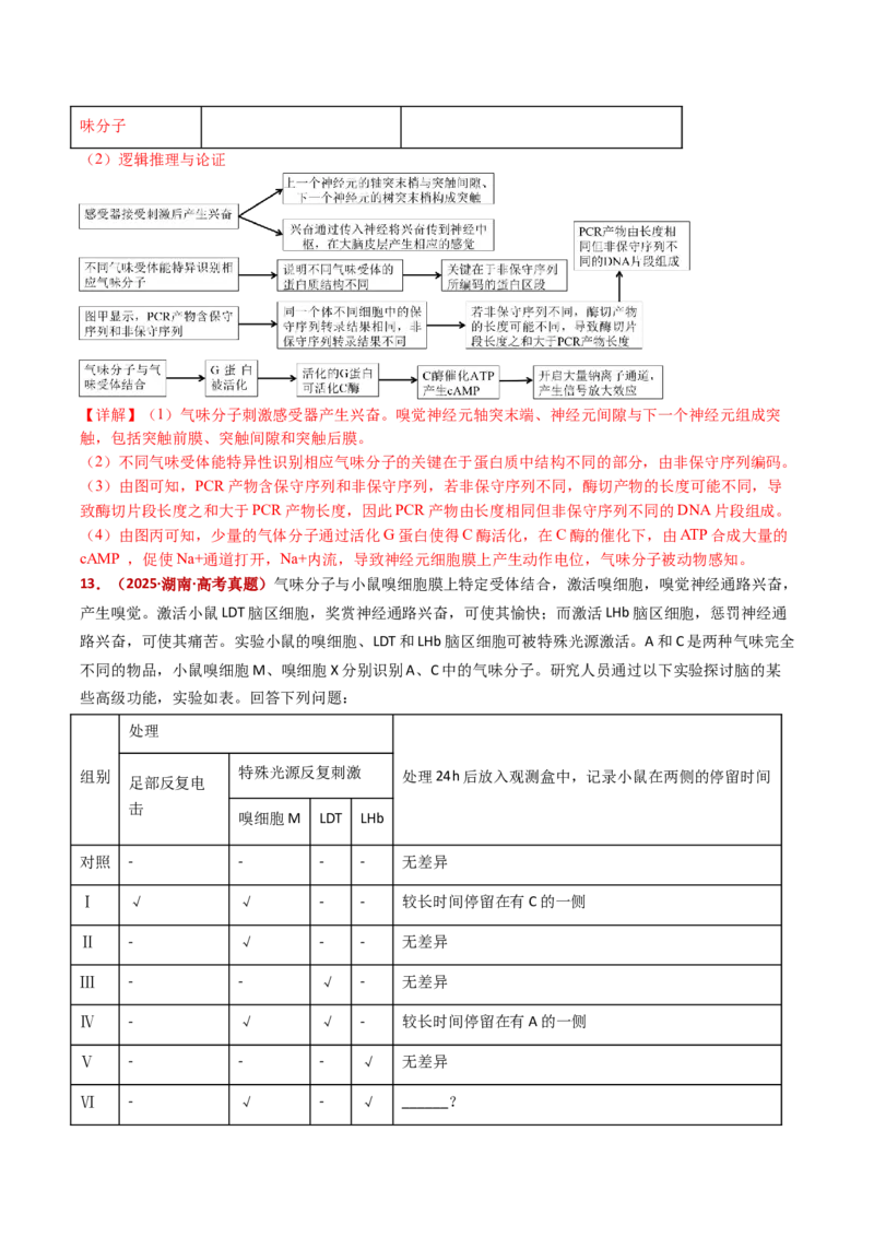 五年（2021-2025）全国高考生物真题分类汇编专题14神经调节（全国通用）（解析版）_高考真题分类汇编_高考生物真题分类汇编（全国通用）五年（2021-2025）