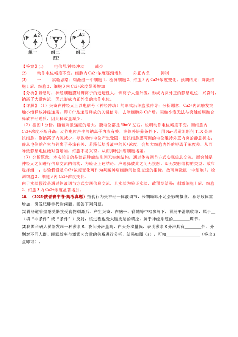 五年（2021-2025）全国高考生物真题分类汇编专题14神经调节（全国通用）（解析版）_高考真题分类汇编_高考生物真题分类汇编（全国通用）五年（2021-2025）