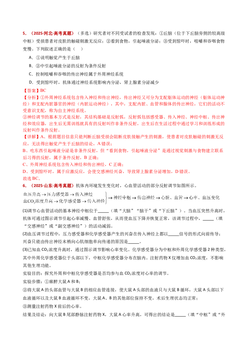 五年（2021-2025）全国高考生物真题分类汇编专题14神经调节（全国通用）（解析版）_高考真题分类汇编_高考生物真题分类汇编（全国通用）五年（2021-2025）