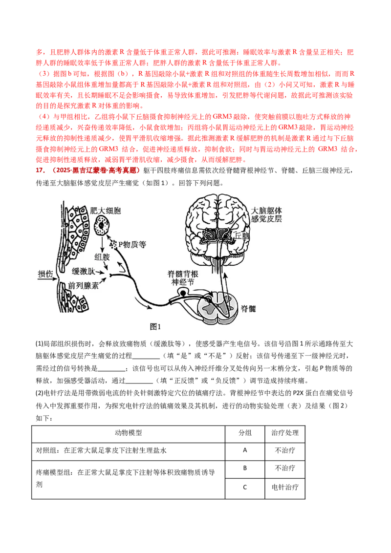 五年（2021-2025）全国高考生物真题分类汇编专题14神经调节（全国通用）（解析版）_高考真题分类汇编_高考生物真题分类汇编（全国通用）五年（2021-2025）