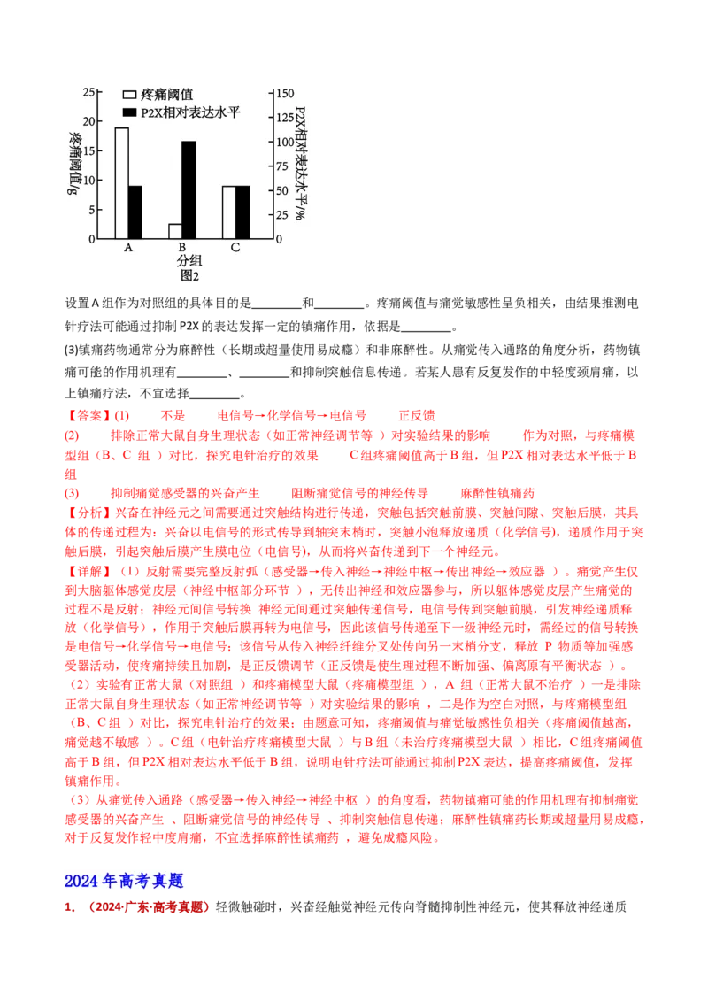 五年（2021-2025）全国高考生物真题分类汇编专题14神经调节（全国通用）（解析版）_高考真题分类汇编_高考生物真题分类汇编（全国通用）五年（2021-2025）