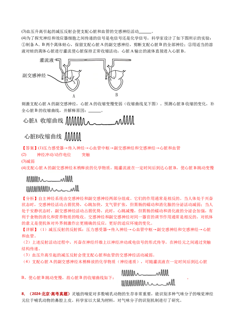 五年（2021-2025）全国高考生物真题分类汇编专题14神经调节（全国通用）（解析版）_高考真题分类汇编_高考生物真题分类汇编（全国通用）五年（2021-2025）