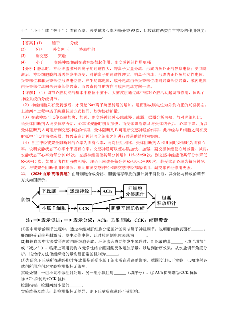 五年（2021-2025）全国高考生物真题分类汇编专题14神经调节（全国通用）（解析版）_高考真题分类汇编_高考生物真题分类汇编（全国通用）五年（2021-2025）