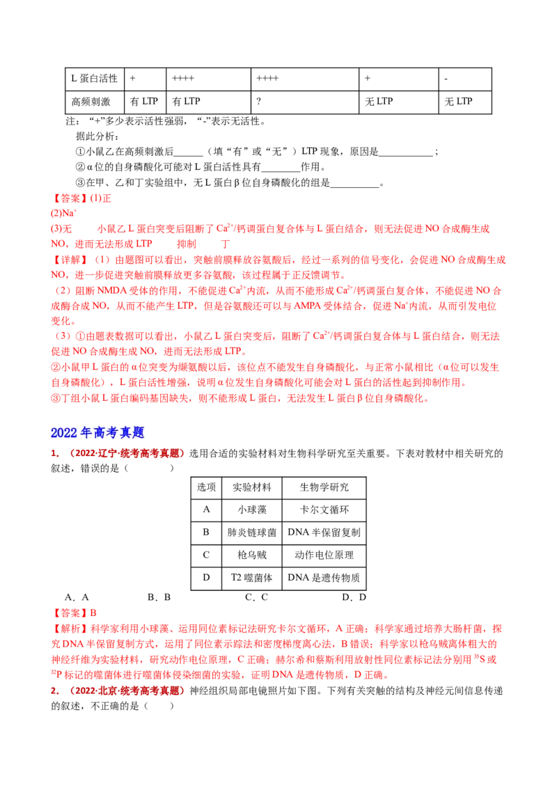 五年（2021-2025）全国高考生物真题分类汇编专题14神经调节（全国通用）（解析版）_高考真题分类汇编_高考生物真题分类汇编（全国通用）五年（2021-2025）