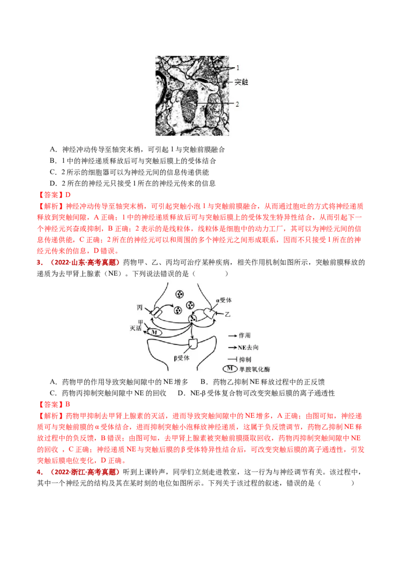 五年（2021-2025）全国高考生物真题分类汇编专题14神经调节（全国通用）（解析版）_高考真题分类汇编_高考生物真题分类汇编（全国通用）五年（2021-2025）