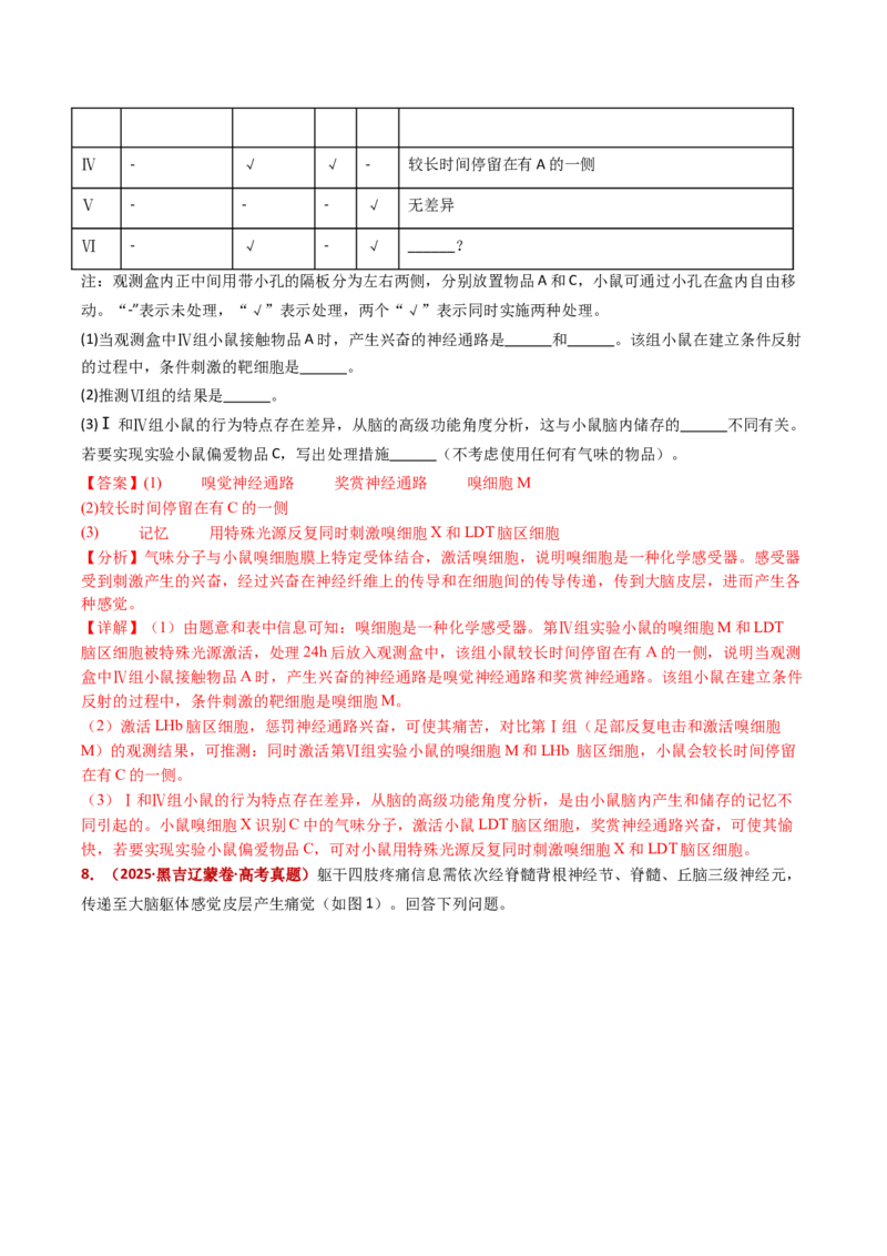 五年（2021-2025）全国高考生物真题分类汇编专题14神经调节（全国通用）（解析版）_高考真题分类汇编_高考生物真题分类汇编（全国通用）五年（2021-2025）
