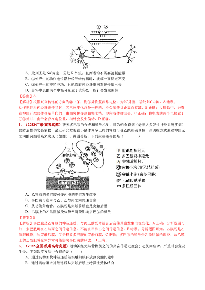五年（2021-2025）全国高考生物真题分类汇编专题14神经调节（全国通用）（解析版）_高考真题分类汇编_高考生物真题分类汇编（全国通用）五年（2021-2025）