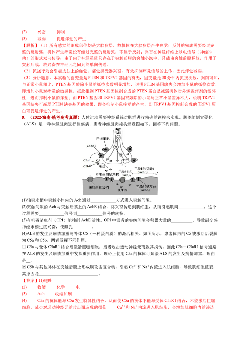 五年（2021-2025）全国高考生物真题分类汇编专题14神经调节（全国通用）（解析版）_高考真题分类汇编_高考生物真题分类汇编（全国通用）五年（2021-2025）