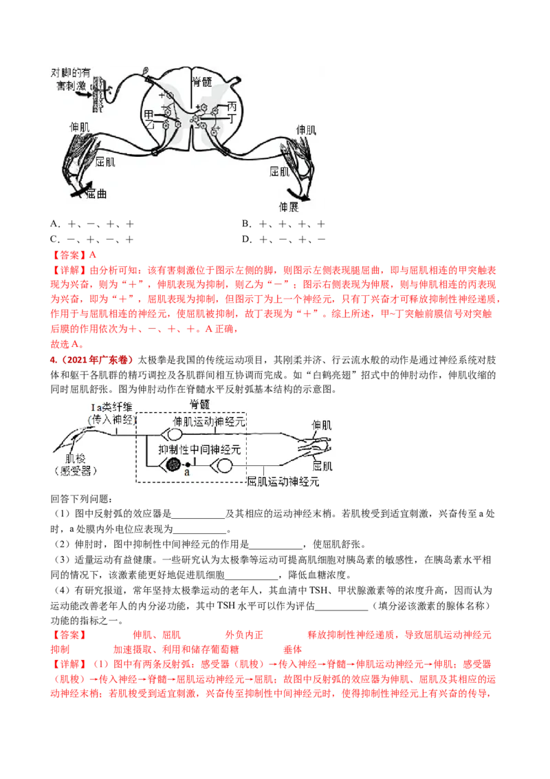 五年（2021-2025）全国高考生物真题分类汇编专题14神经调节（全国通用）（解析版）_高考真题分类汇编_高考生物真题分类汇编（全国通用）五年（2021-2025）