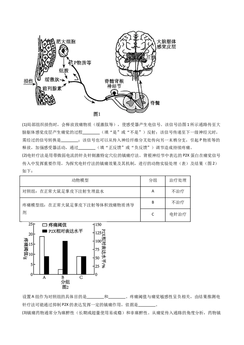 五年（2021-2025）全国高考生物真题分类汇编专题14神经调节（全国通用）（解析版）_高考真题分类汇编_高考生物真题分类汇编（全国通用）五年（2021-2025）