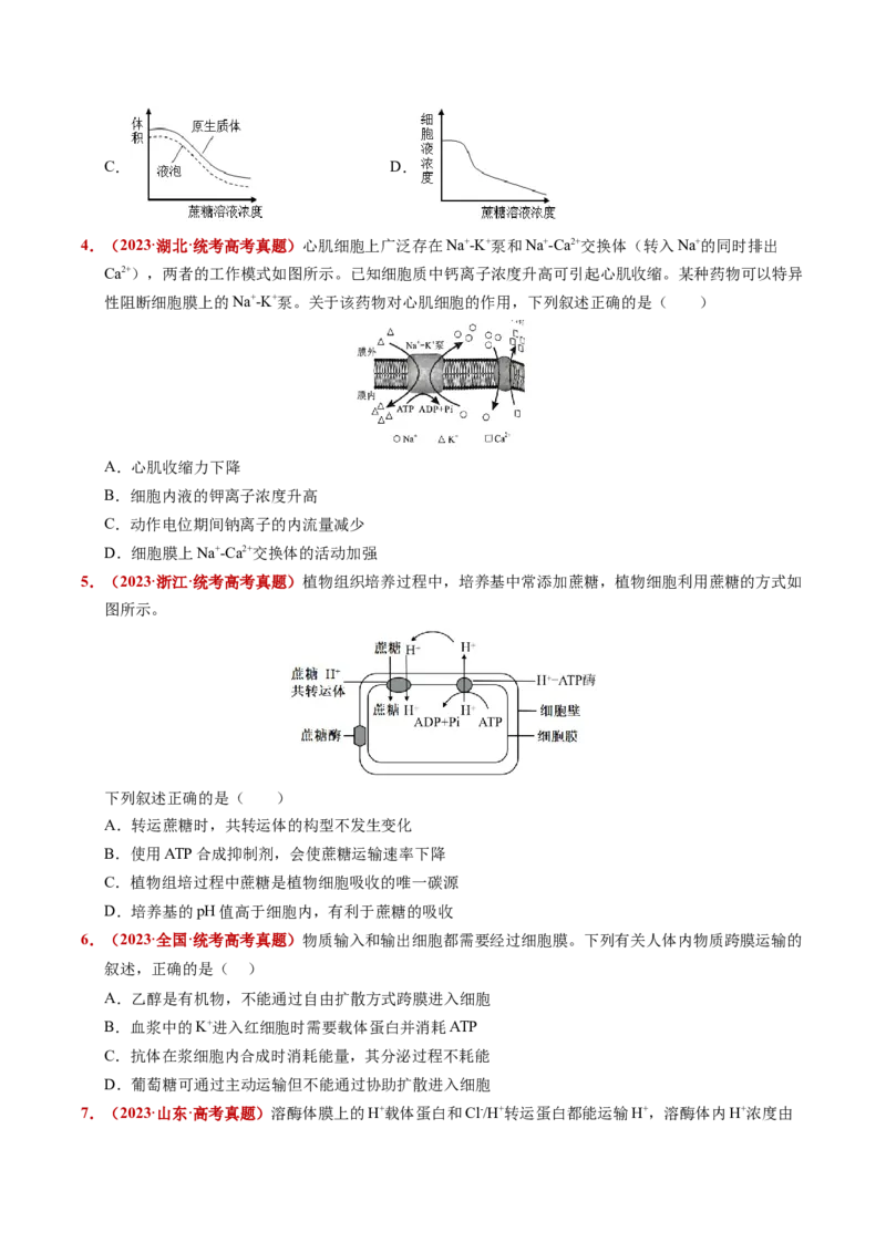 五年（2021-2025）全国高考生物真题分类汇编专题03物质的跨膜运输（全国通用）（原卷版）_高考真题分类汇编_高考生物真题分类汇编（全国通用）五年（2021-2025）