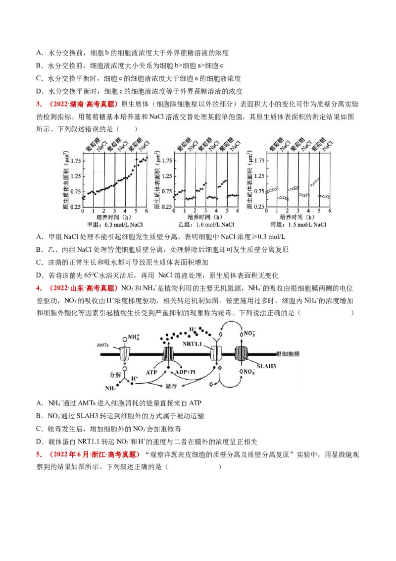 五年（2021-2025）全国高考生物真题分类汇编专题03物质的跨膜运输（全国通用）（原卷版）_高考真题分类汇编_高考生物真题分类汇编（全国通用）五年（2021-2025）
