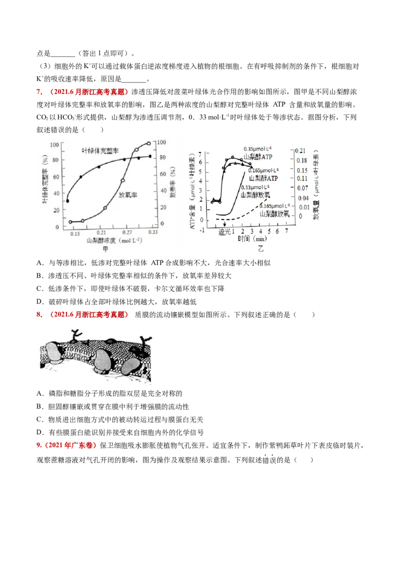 五年（2021-2025）全国高考生物真题分类汇编专题03物质的跨膜运输（全国通用）（原卷版）_高考真题分类汇编_高考生物真题分类汇编（全国通用）五年（2021-2025）
