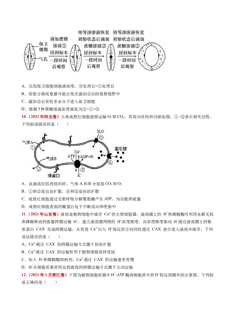 五年（2021-2025）全国高考生物真题分类汇编专题03物质的跨膜运输（全国通用）（原卷版）_高考真题分类汇编_高考生物真题分类汇编（全国通用）五年（2021-2025）