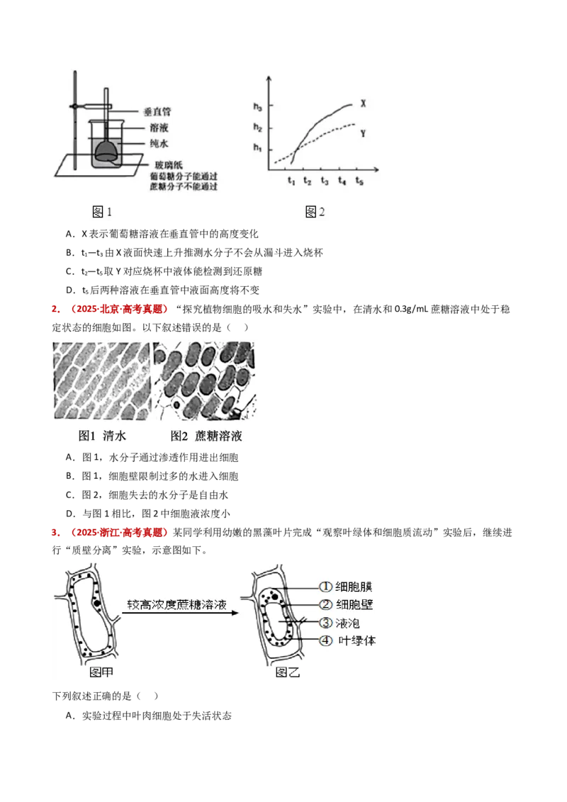 五年（2021-2025）全国高考生物真题分类汇编专题03物质的跨膜运输（全国通用）（原卷版）_高考真题分类汇编_高考生物真题分类汇编（全国通用）五年（2021-2025）