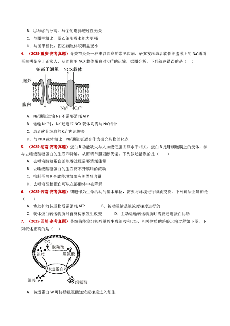 五年（2021-2025）全国高考生物真题分类汇编专题03物质的跨膜运输（全国通用）（原卷版）_高考真题分类汇编_高考生物真题分类汇编（全国通用）五年（2021-2025）