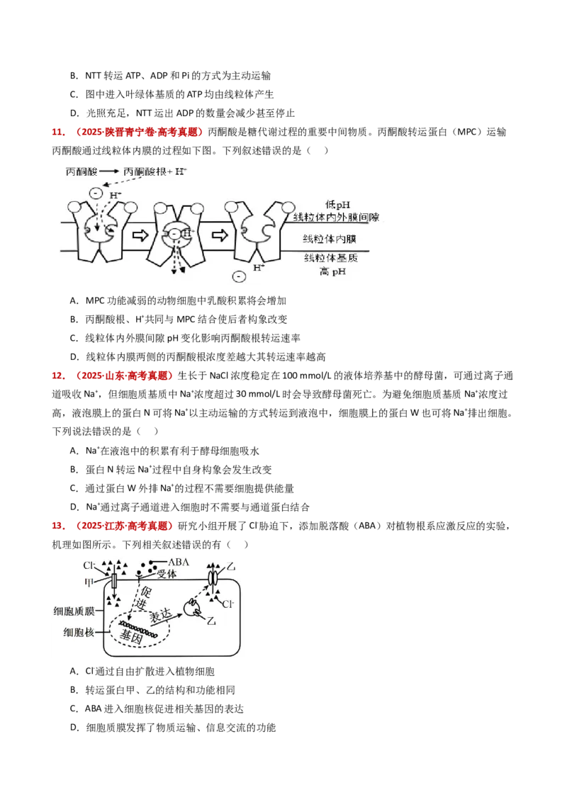 五年（2021-2025）全国高考生物真题分类汇编专题03物质的跨膜运输（全国通用）（原卷版）_高考真题分类汇编_高考生物真题分类汇编（全国通用）五年（2021-2025）
