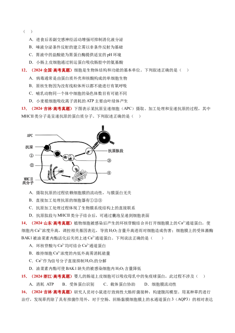 五年（2021-2025）全国高考生物真题分类汇编专题03物质的跨膜运输（全国通用）（原卷版）_高考真题分类汇编_高考生物真题分类汇编（全国通用）五年（2021-2025）