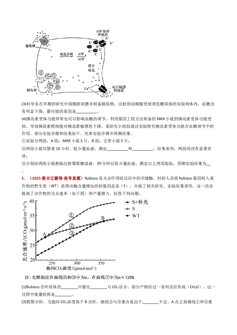 五年（2021-2025）全国高考生物真题分类汇编专题23实验与探究（全国通用）（原卷版）_高考真题分类汇编_高考生物真题分类汇编（全国通用）五年（2021-2025）