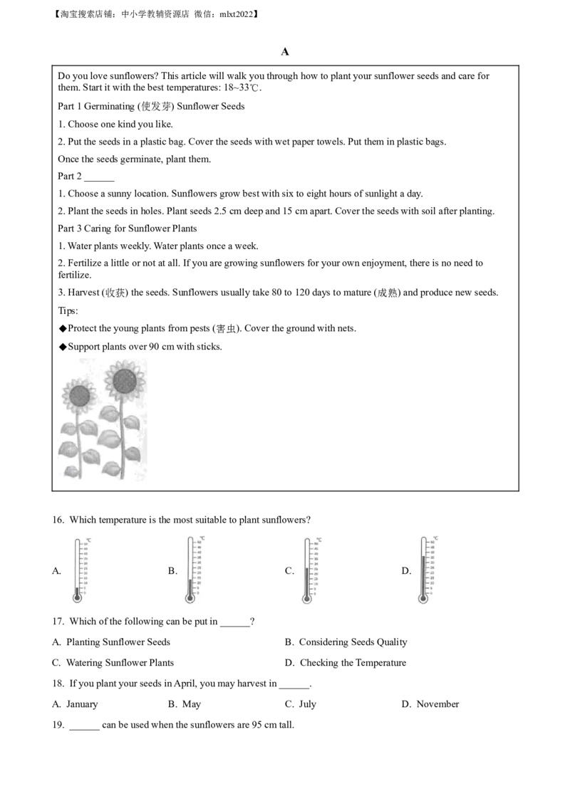 精品解析：2023年四川省南充市中考英语真题（解析版）_中考真题_3.英语中考真题2015-2024年_2023中考英语真题7.20