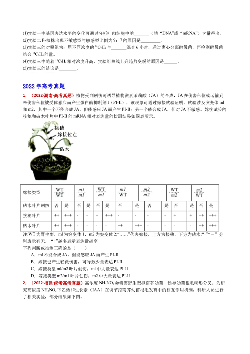 五年（2021-2025）全国高考生物真题分类汇编专题17植物激素的调节（全国通用）（原卷版）_高考真题分类汇编_高考生物真题分类汇编（全国通用）五年（2021-2025）