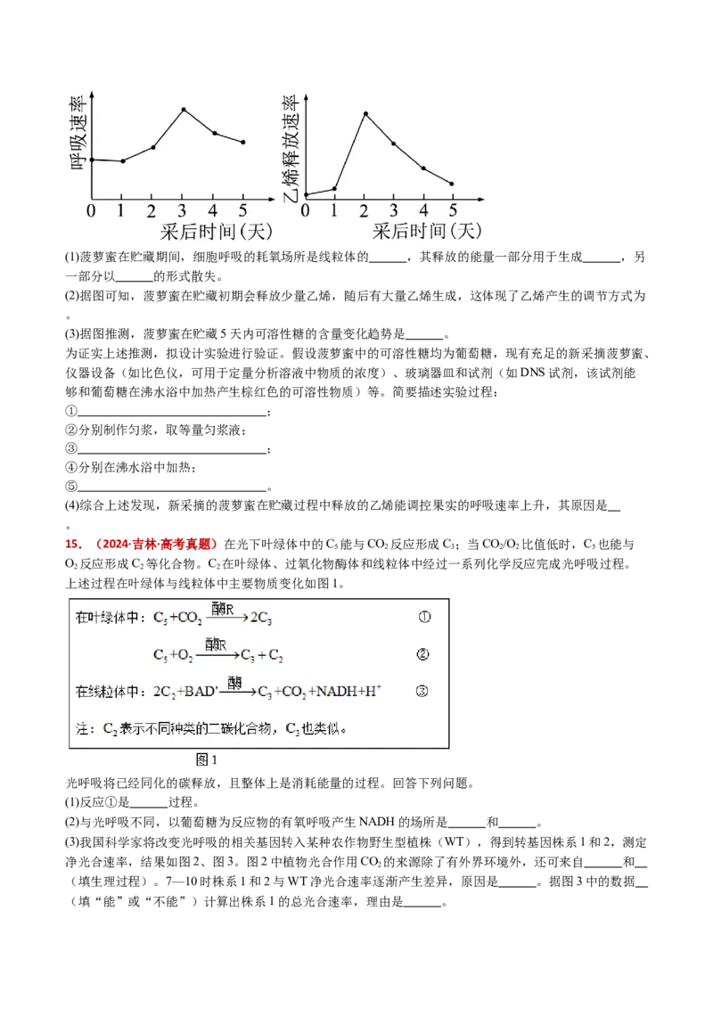 五年（2021-2025）全国高考生物真题分类汇编专题05细胞呼吸和光合作用（全国通用）（原卷版）_高考真题分类汇编_高考生物真题分类汇编（全国通用）五年（2021-2025）