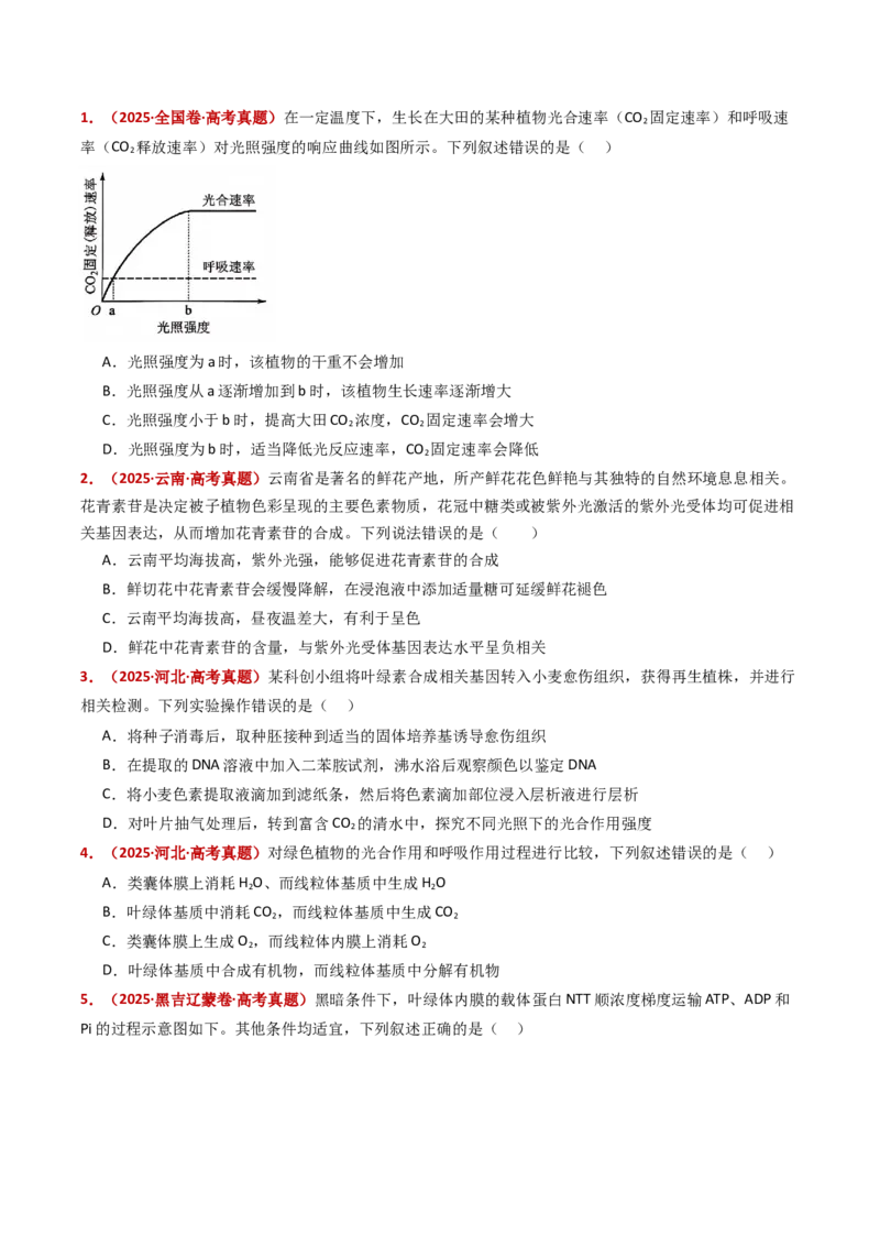 五年（2021-2025）全国高考生物真题分类汇编专题05细胞呼吸和光合作用（全国通用）（原卷版）_高考真题分类汇编_高考生物真题分类汇编（全国通用）五年（2021-2025）